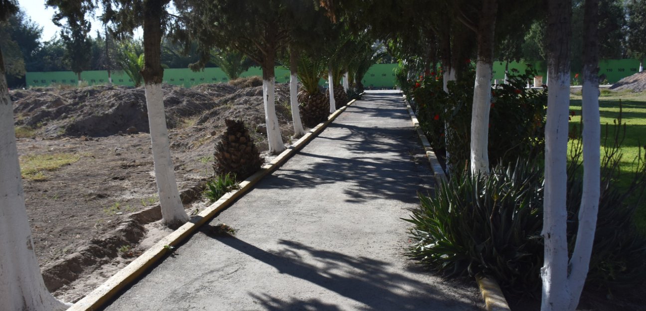 Este miércoles inicia el operativo de limpieza en cementerios soledenses