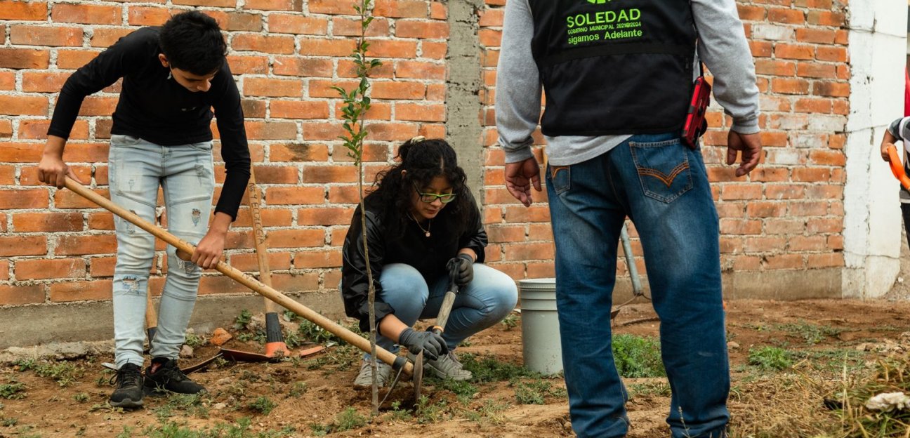 Concluyó con éxito el programa de reforestación Un Árbol, una vida