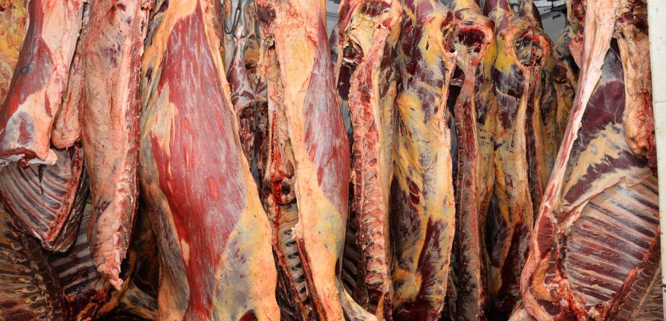 Rastro Municipal de Soledad se prepara para el incremento en operaciones