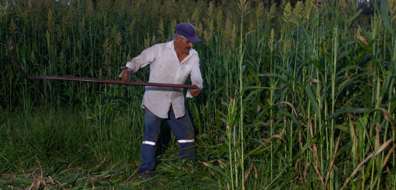 Soledad sigue adelante y da fuerte impulso al campo