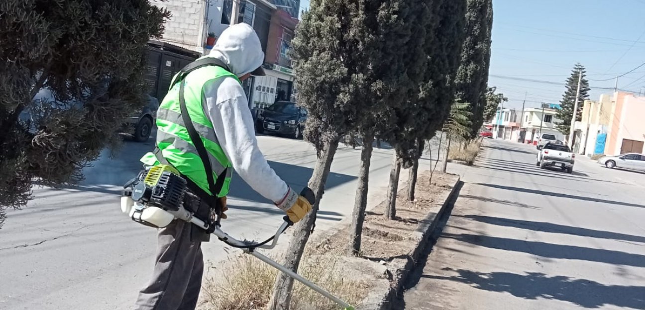 Servicios Municipales de Soledad sigue adelante en el embellecimiento de camellones