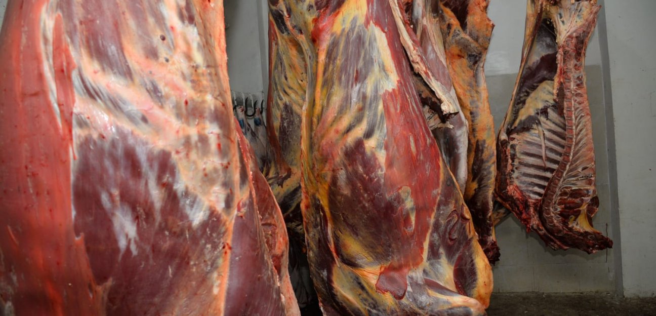 Rastro Municipal de Soledad registra un 50 % de incremento en sus operaciones