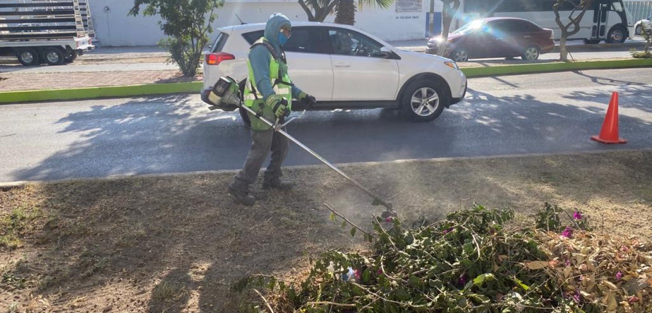 Diferentes áreas municipales trabajan en el cuidado y embellecimiento de espacios públicos en Soledad