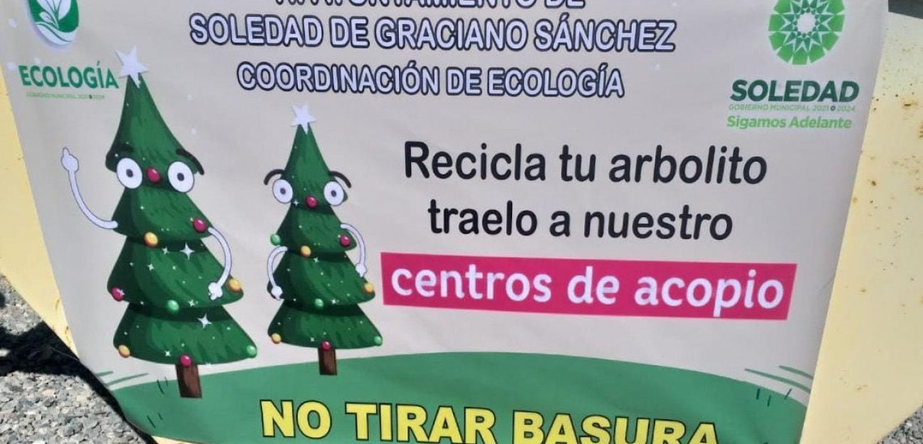 Concluye con éxito el programa de acopio de árboles navideños en Soledad de Graciano Sánchez 