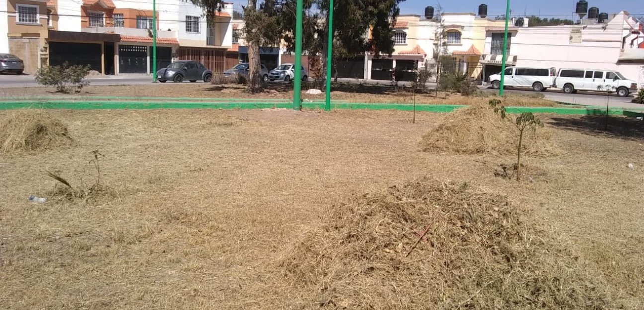 La dirección de Servicios Municipales de Soledad, realizó labores de mantenimiento en el área verde ubicada en el Fraccionamiento San Lorenzo