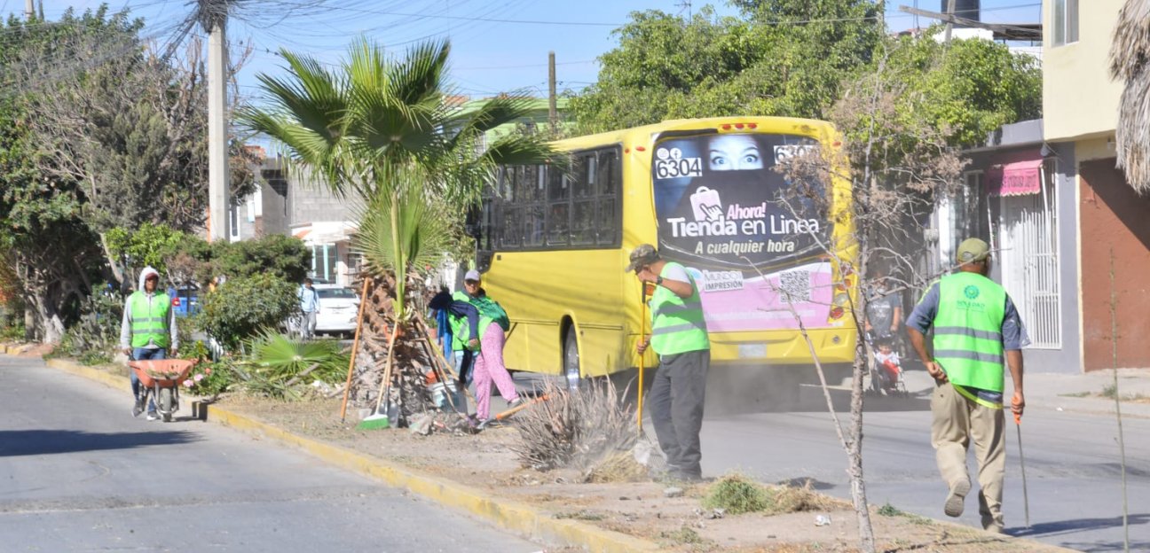 Ayuntamiento de Soledad realiza acciones de mejora en la colonia Real Providencia