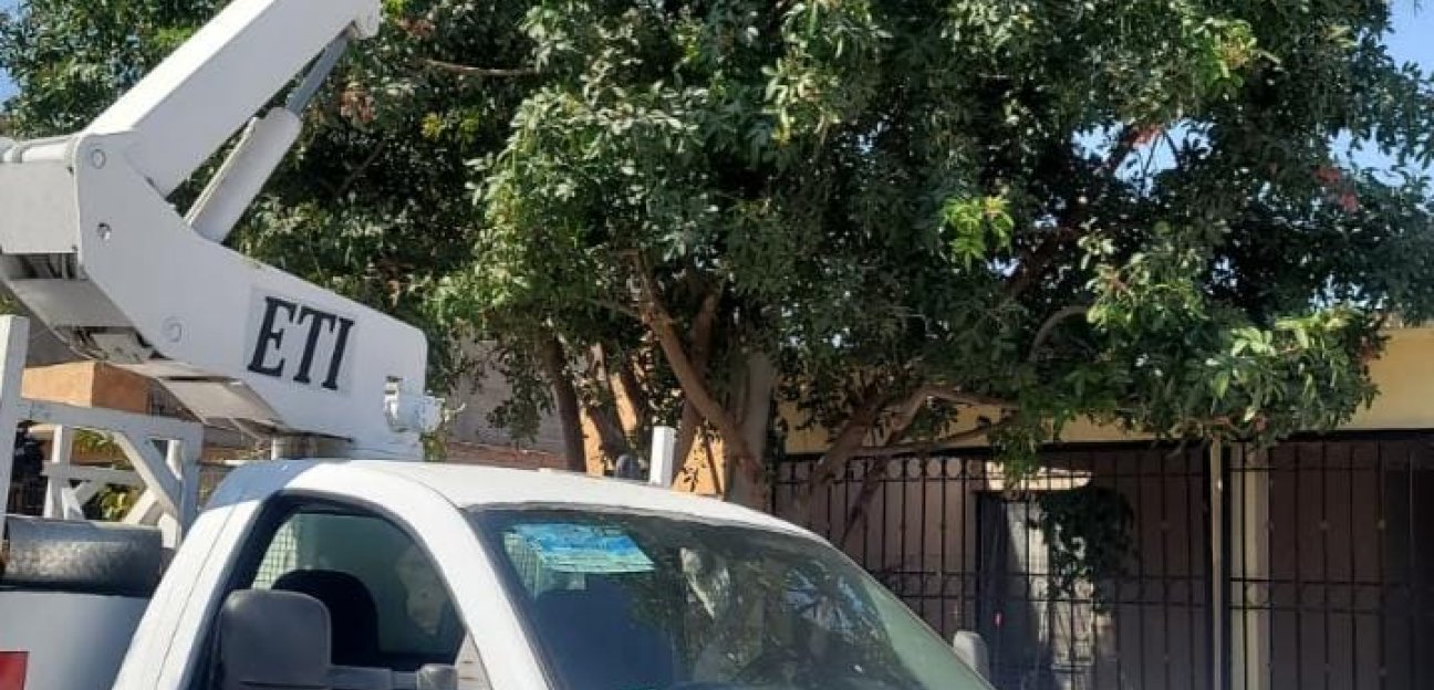 Soledad sigue adelante con la sustitución de lámparas de sodio por lámparas led