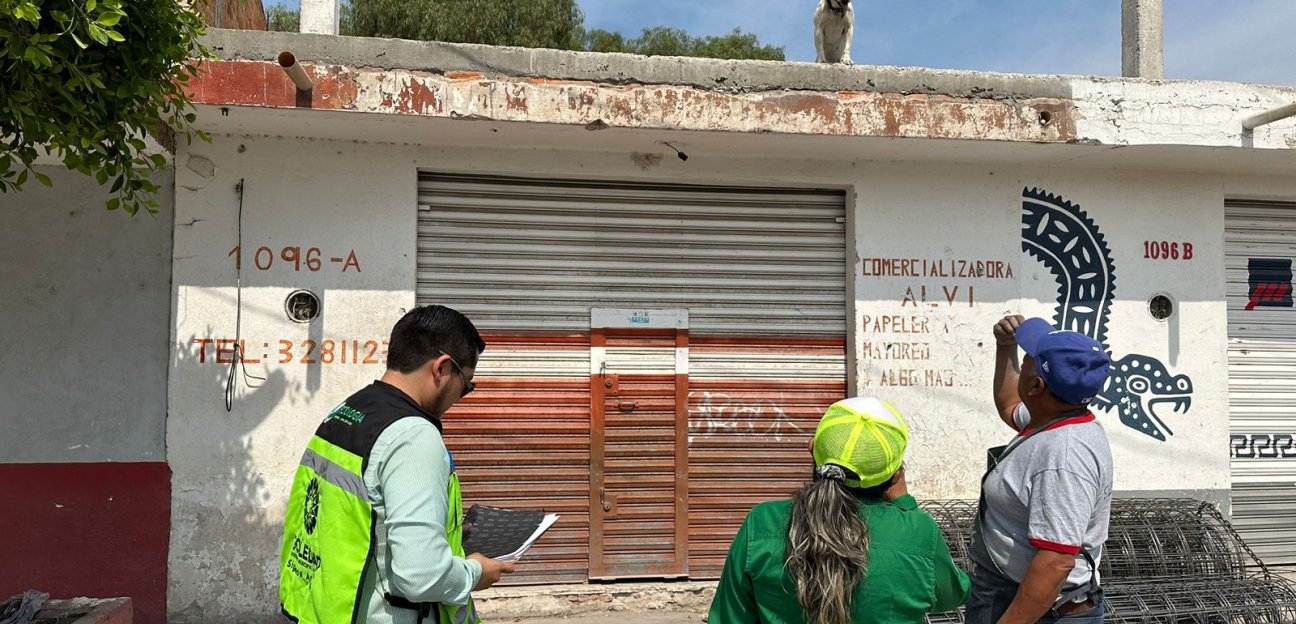 Ecología de Soledad pendiente de que no habiten animales en las azoteas