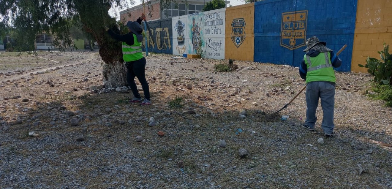 Diferentes áreas del ayuntamiento trabajan en el embellecimiento de espacios públicos de Soledad