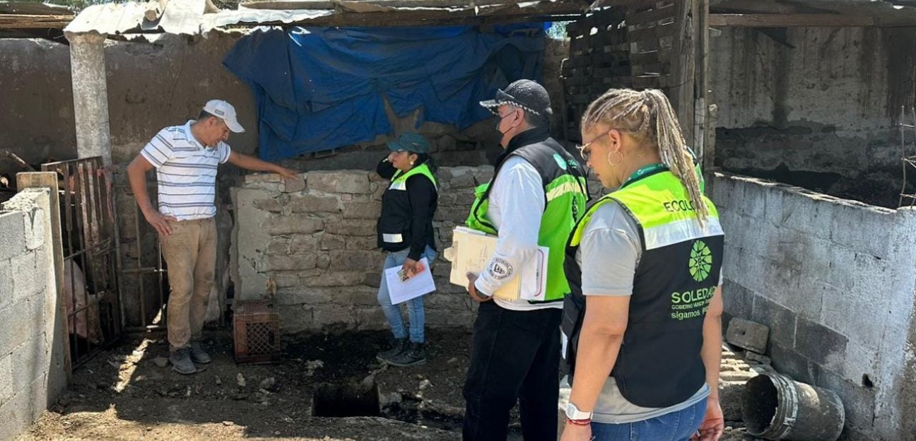 La dirección de Ecología de Soledad clausuró criadero de ganado porcino por incumplir con las normas de cuidado ambiental