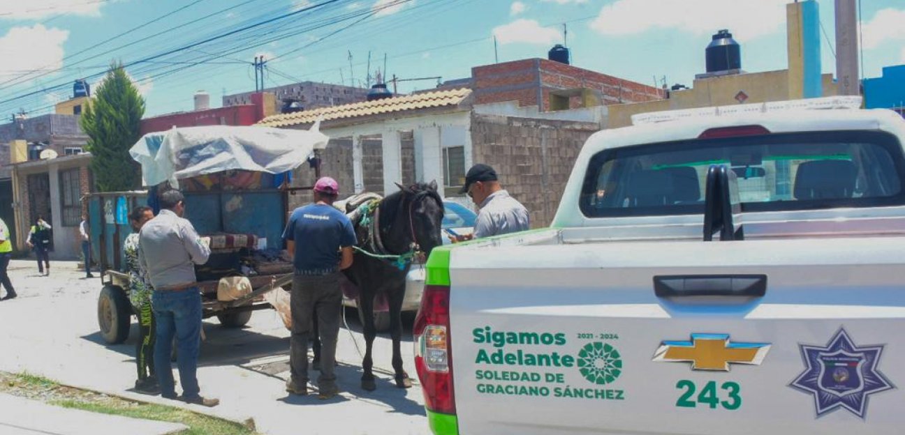 Ayuntamiento de Soledad continúa operativos a favor del bienestar animal y medio ambiente