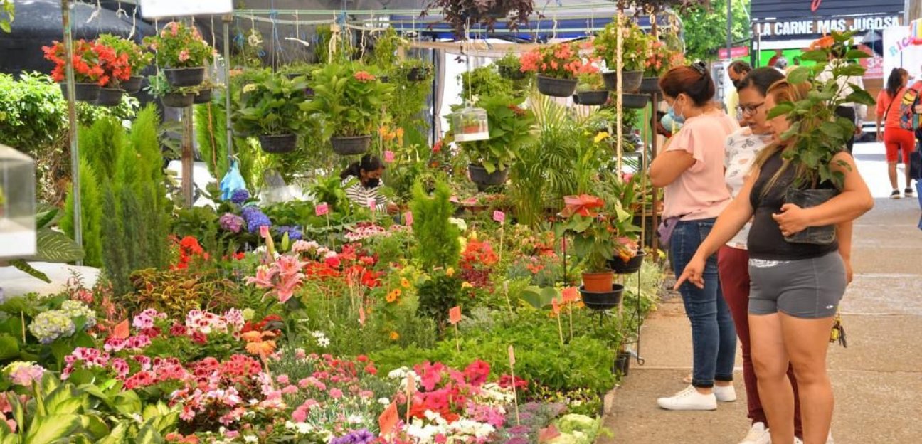 Del 30 de junio al 17 de julio, Festival de las Flores en Soledad de Graciano Sánchez 