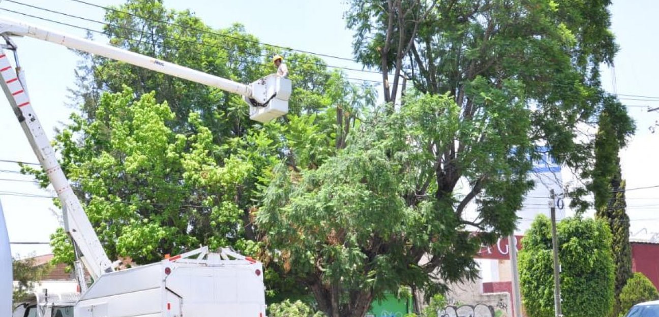 Ayuntamiento soledense trabaja preventivamente ante temporada de lluvia, en coordinación con CFE