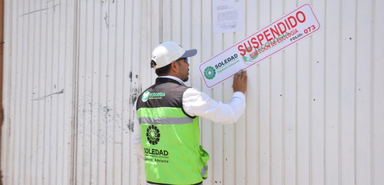 Ayuntamiento de Soledad suspende actividades de granja porcicola