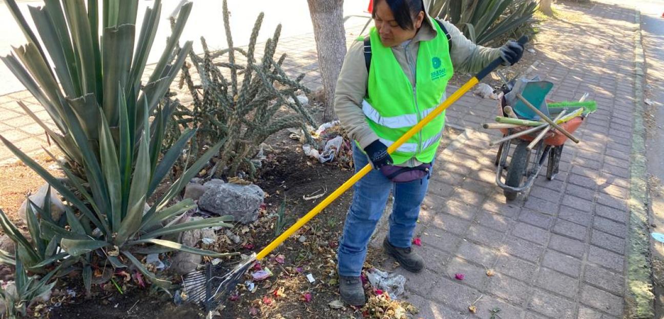Brinda Ayuntamiento soledense mantenimiento integral y permanente a áreas verdes y recreativas