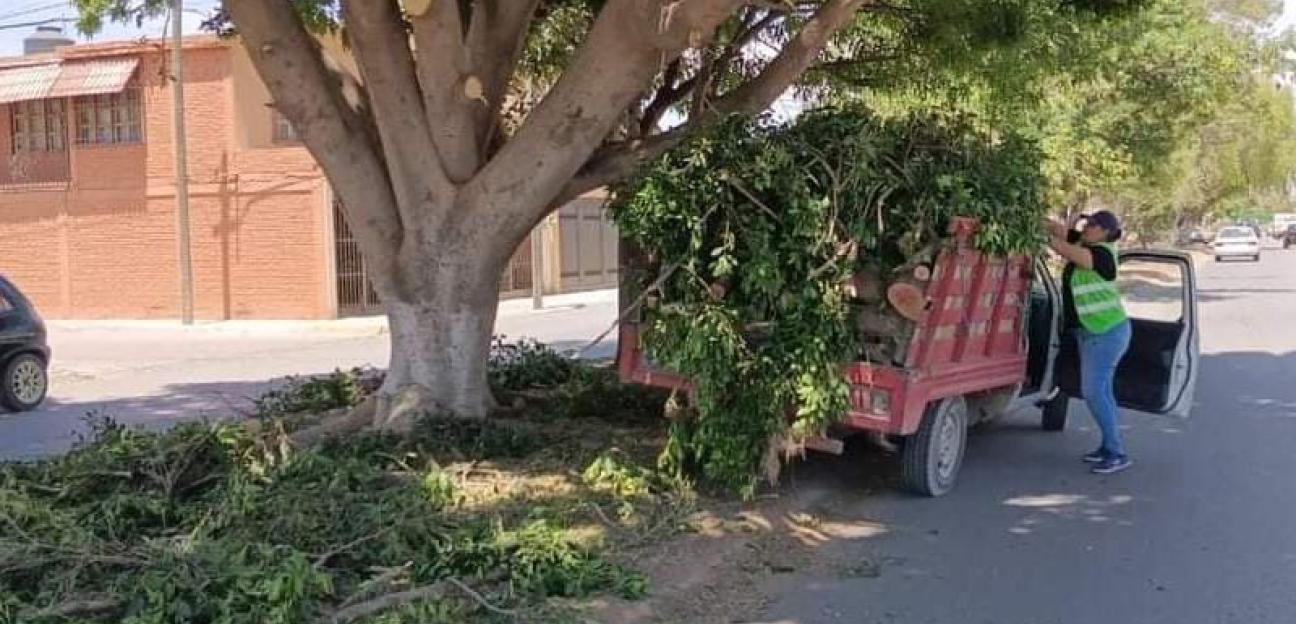 Áreas verdes y recreativas en Soledad reciben cuidado permanente y preventivo