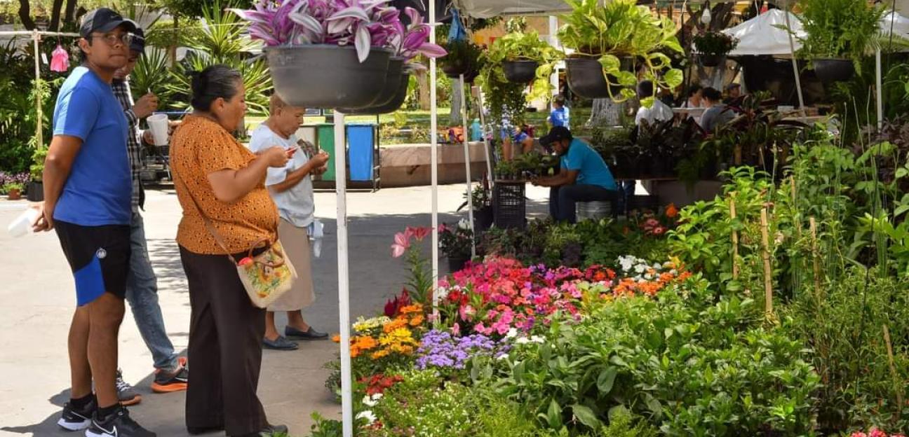 Prepara Soledad su Festival de Las Flores 2024: talleres de arte floral y música