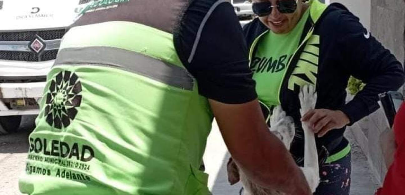 Municipio de Soledad actúa firme a favor de la protección y dignidad animal 