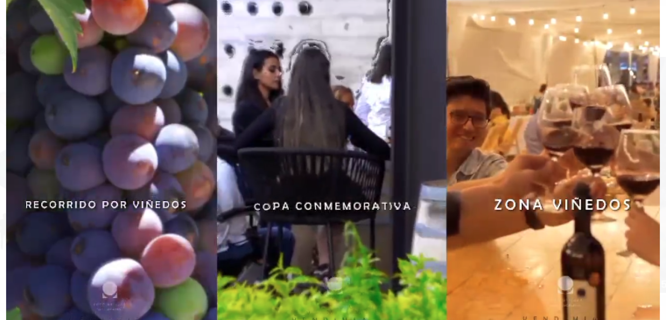 Soledad de Graciano Sánchez invita a actividades vitícolas para el impulso turístico