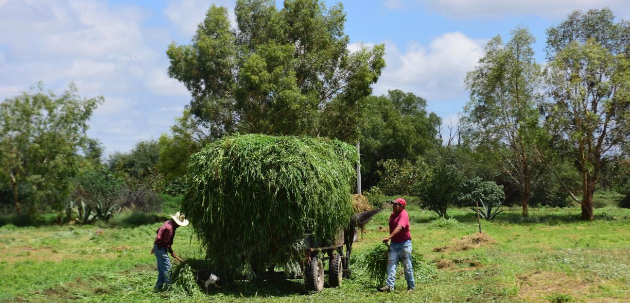 Gobierno de Soledad inicia registro de beneficiarios de apoyos agropecuarios 
