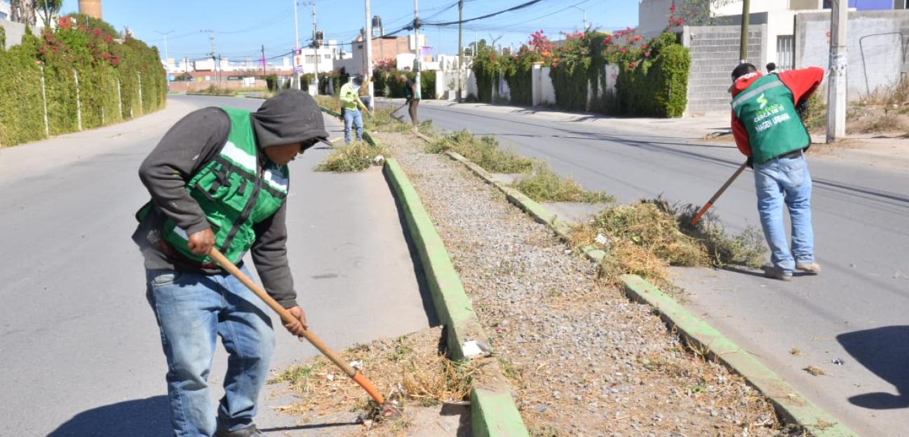 Servicios Municipales de Soledad lleva limpieza y rehabilitación urbana a Fracc. Puerta Real