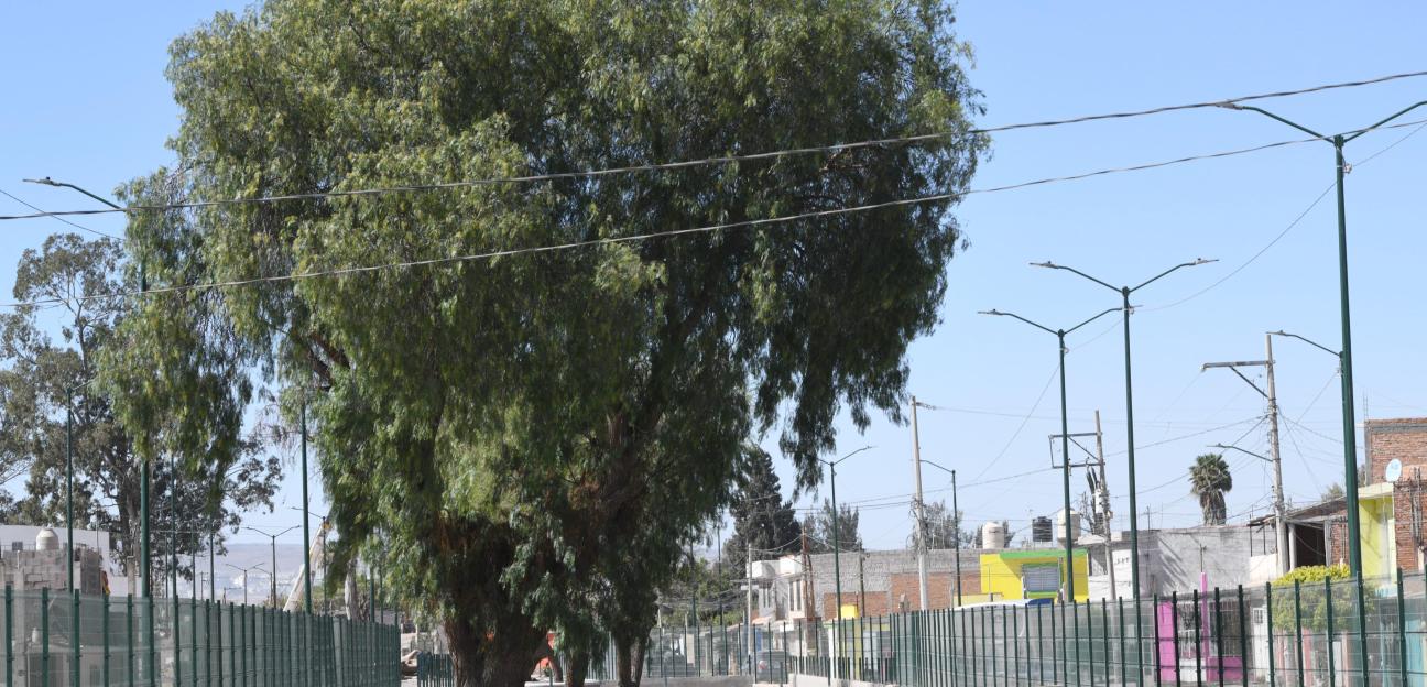 Parque lineal de Hogares Populares Pavón en Soledad presenta 80 por ciento de avance 