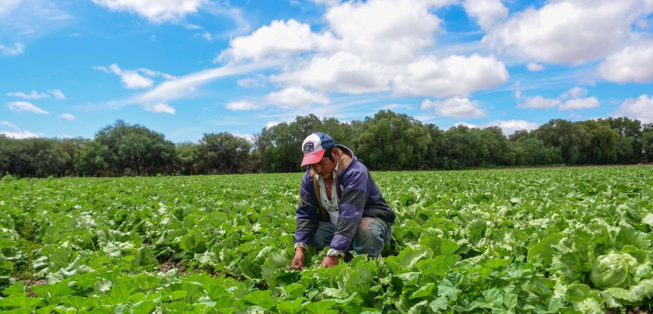 Alcalde Juan Manuel Navarro Muñiz impulsa soluciones para prevenir los efectos del estiaje en comunidades rurales