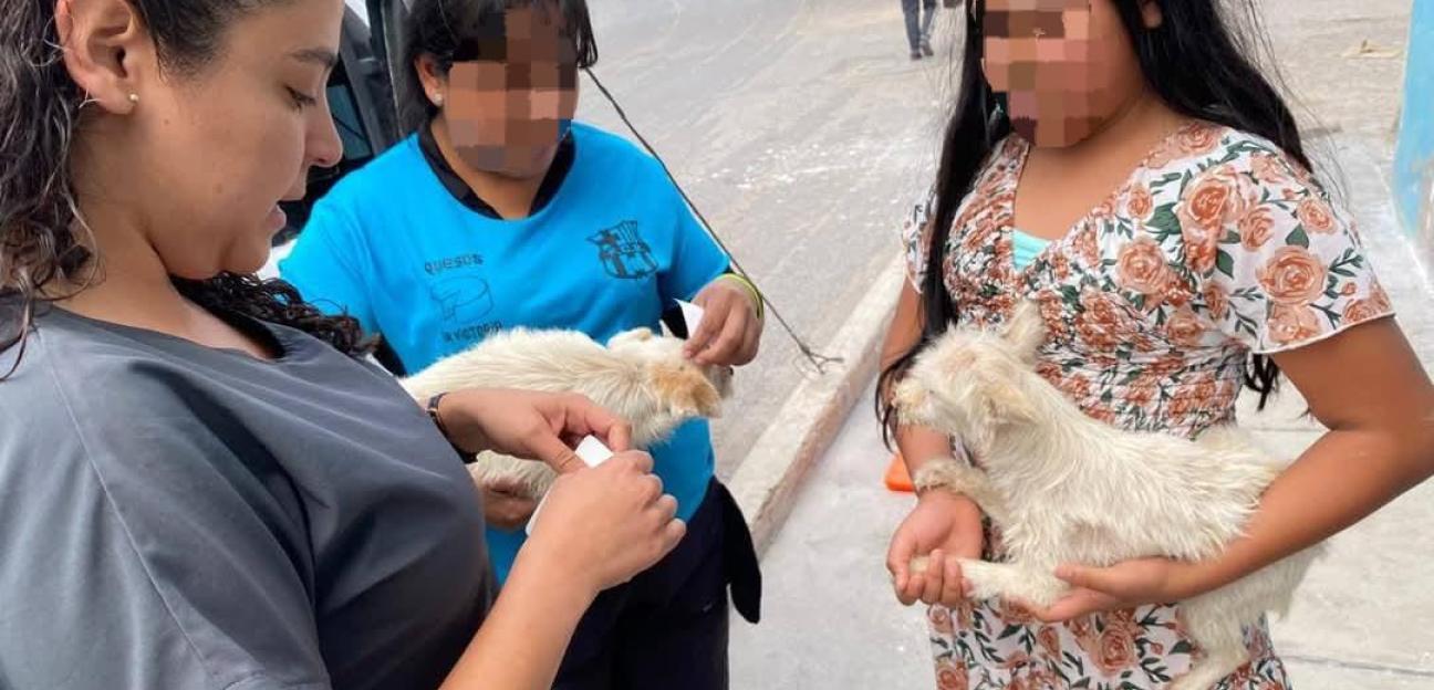 Ayuntamiento de Soledad promueve la salud animal con segunda etapa de vacunación antirrábica