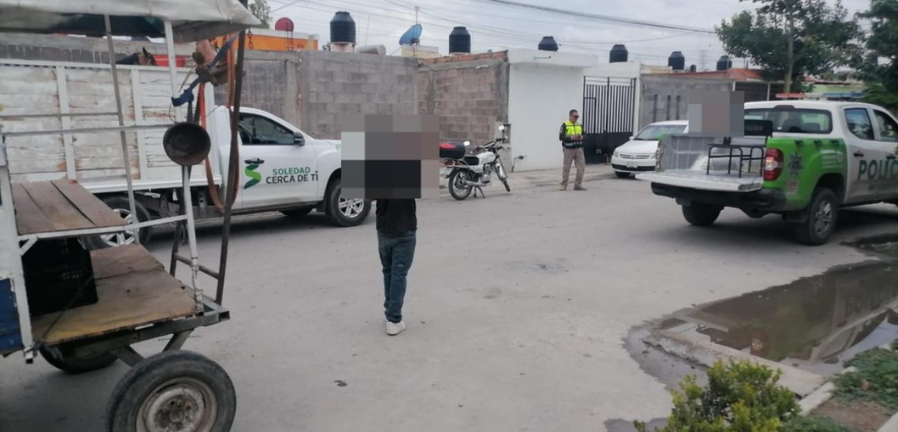 Ayuntamiento de Soledad ratifica acciones para el bienestar animal y la prohibición de equinos en la recolección particular