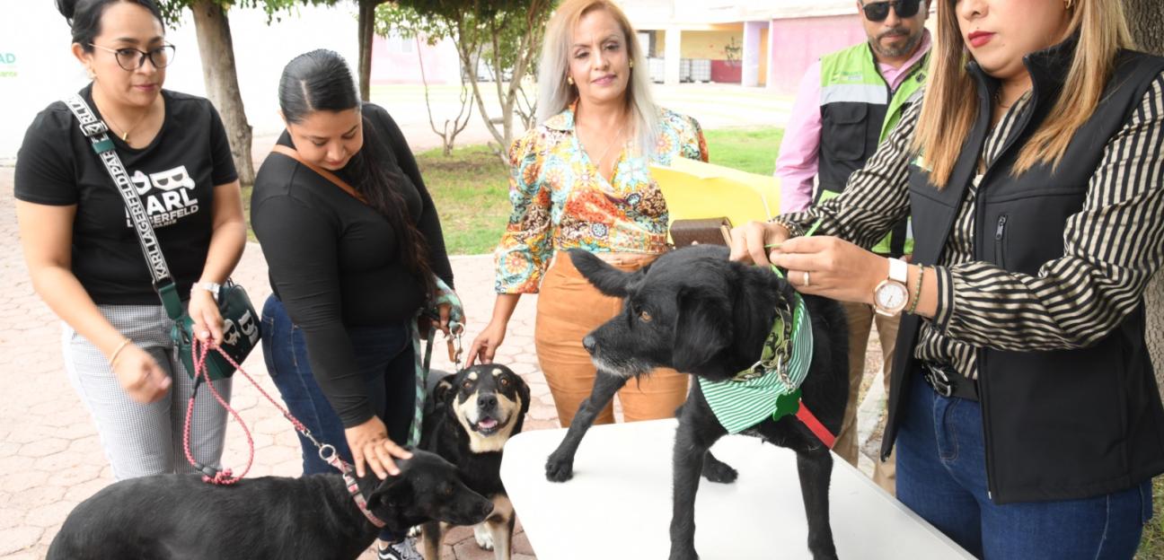 Ayuntamiento de Soledad promueve programa de adopción animal comunitaria