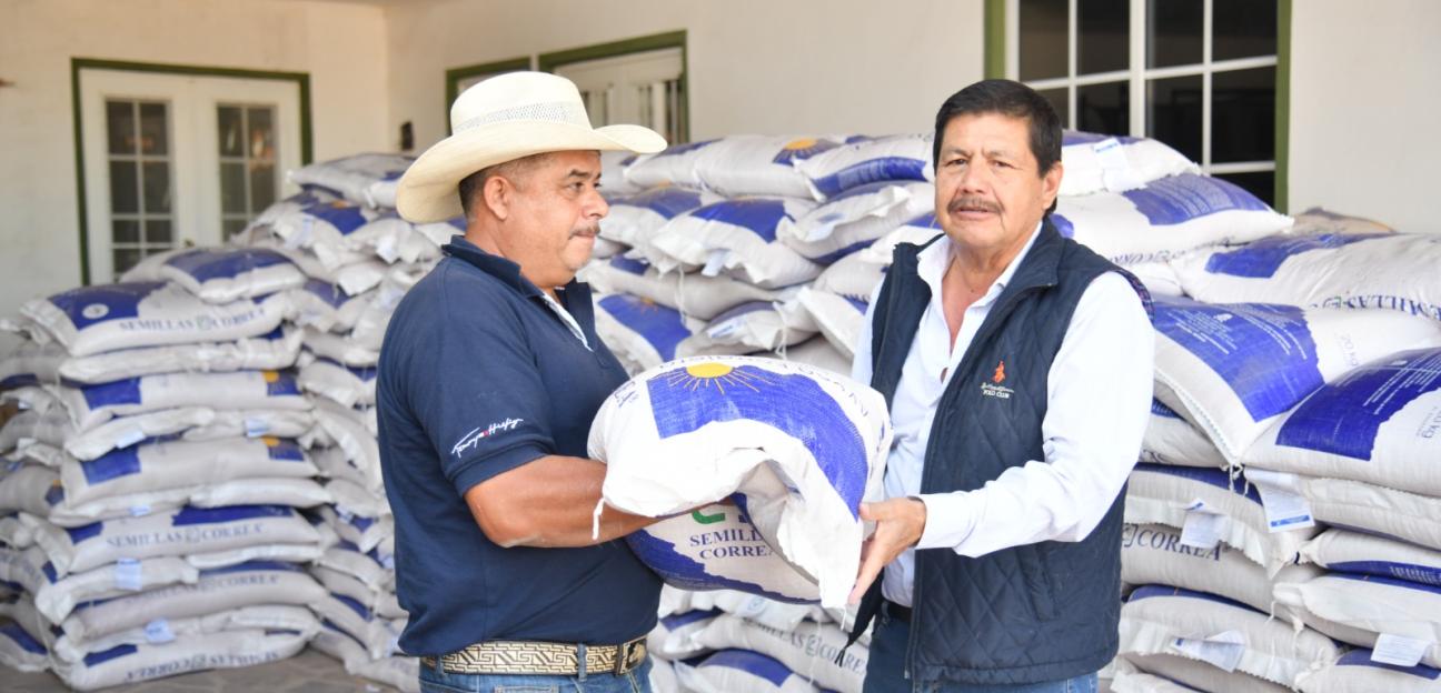 Soledad de Graciano Sánchez fortalece actividad rural con distribución de semilla de avena