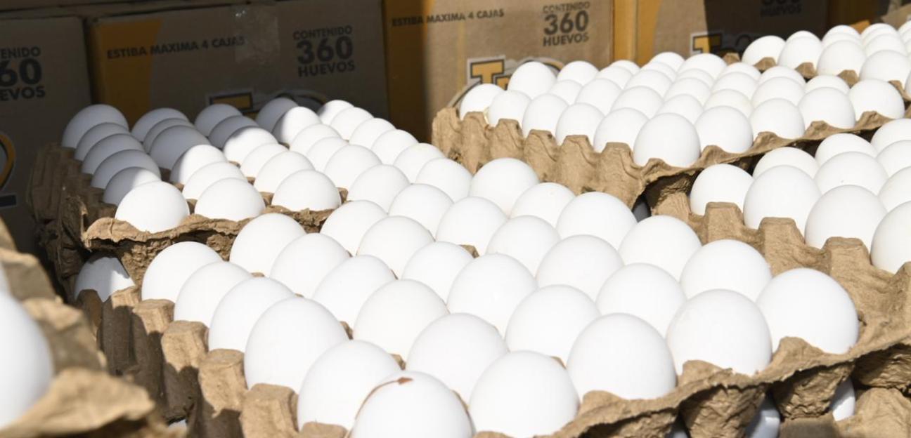 Gobierno de Soledad acerca a las familias paquetes de huevo Casa por Casa