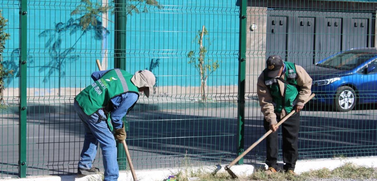 Continúa programa de reforestación en Soledad con amplia participación ciudadana