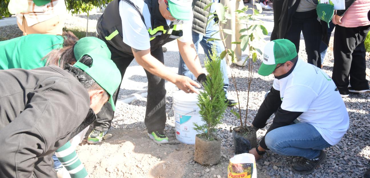 Soledad de G,S, invita a participar en campaña de reforestación comunitaria