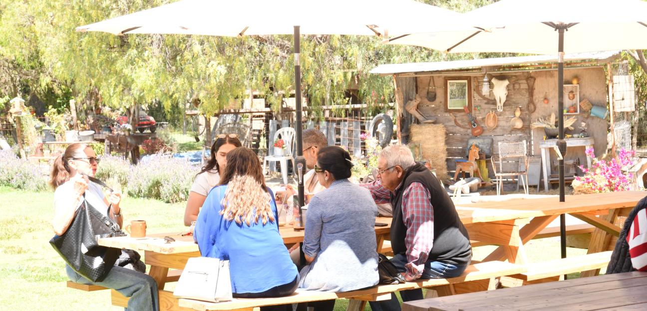 Impulsa Soledad formalización turística con avance en Registro Nacional de Turismo