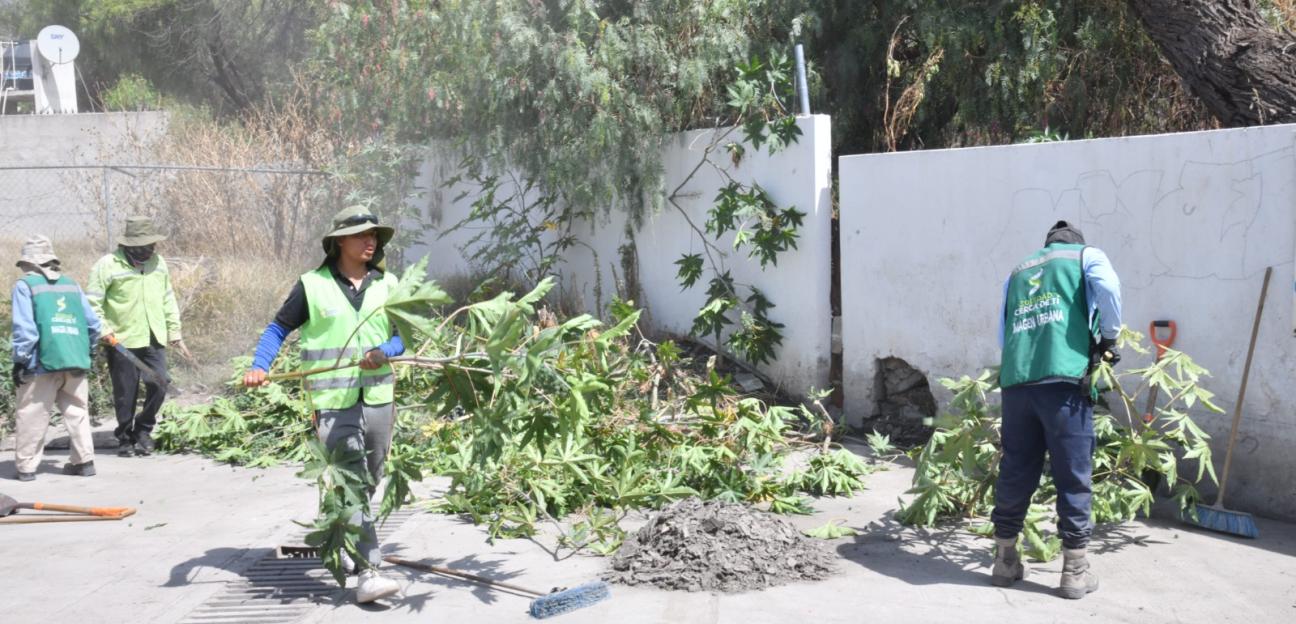 Gobierno de Soledad implementa limpieza preventiva ante pronóstico de lluvia