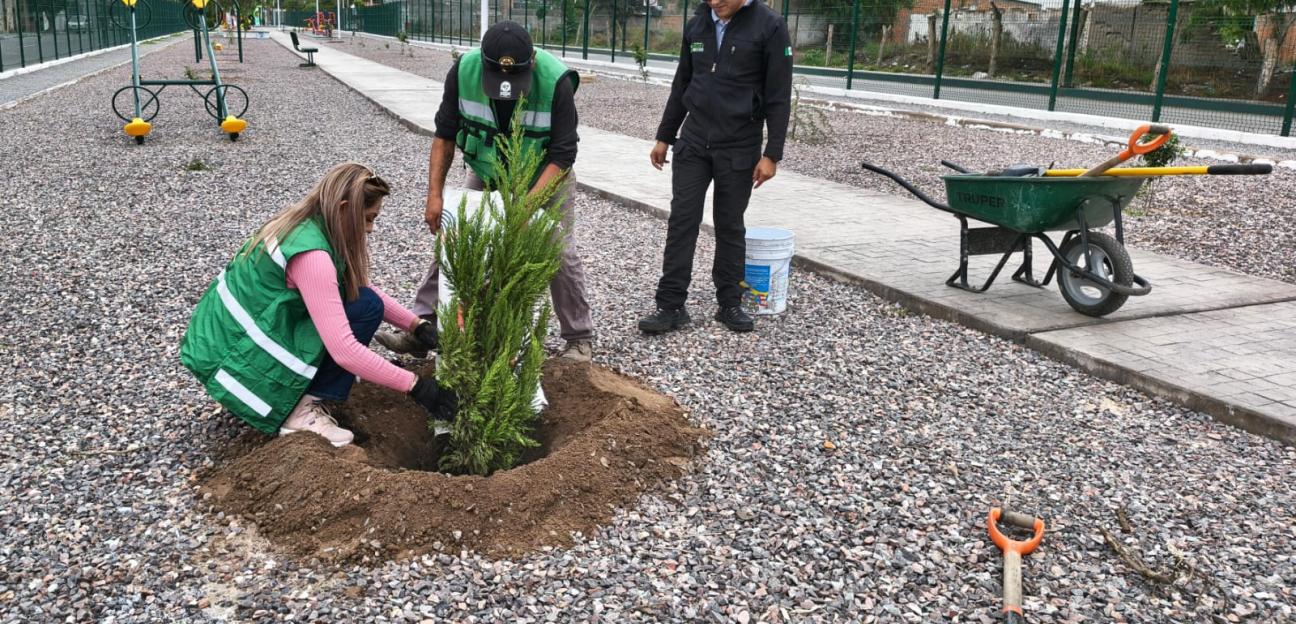 Ayuntamiento de Soledad enverdece con más reforestación el parque lineal
