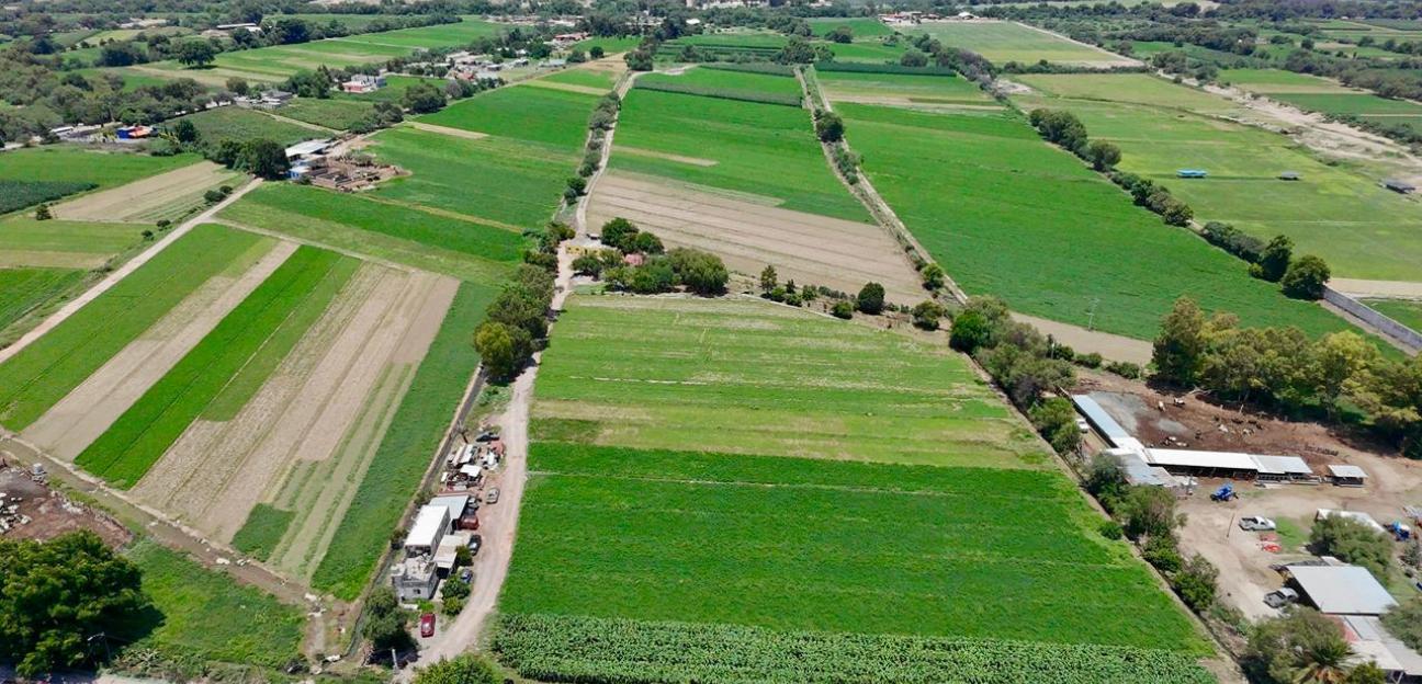 Lluvias favorece al campo soledense; Gobierno Municipal mantiene monitoreo en comunidades rurales