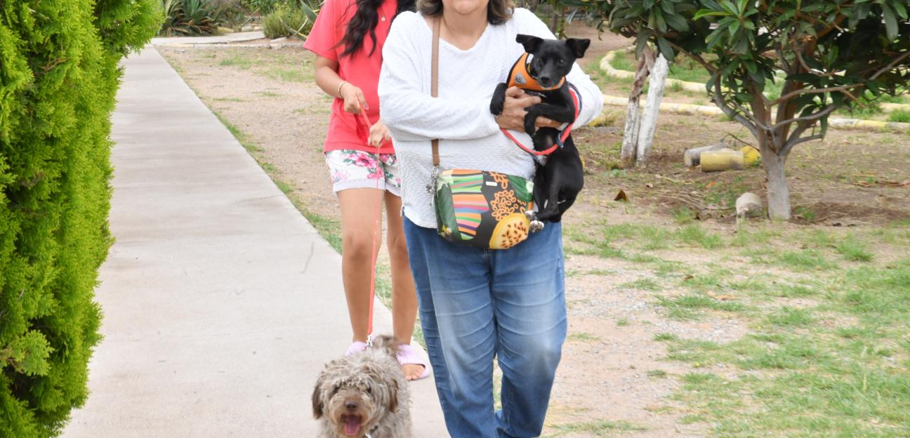 Con acciones permanentes, Ayuntamiento de Soledad combate el maltrato animal